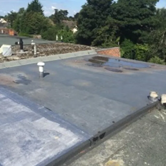 Flat Roof